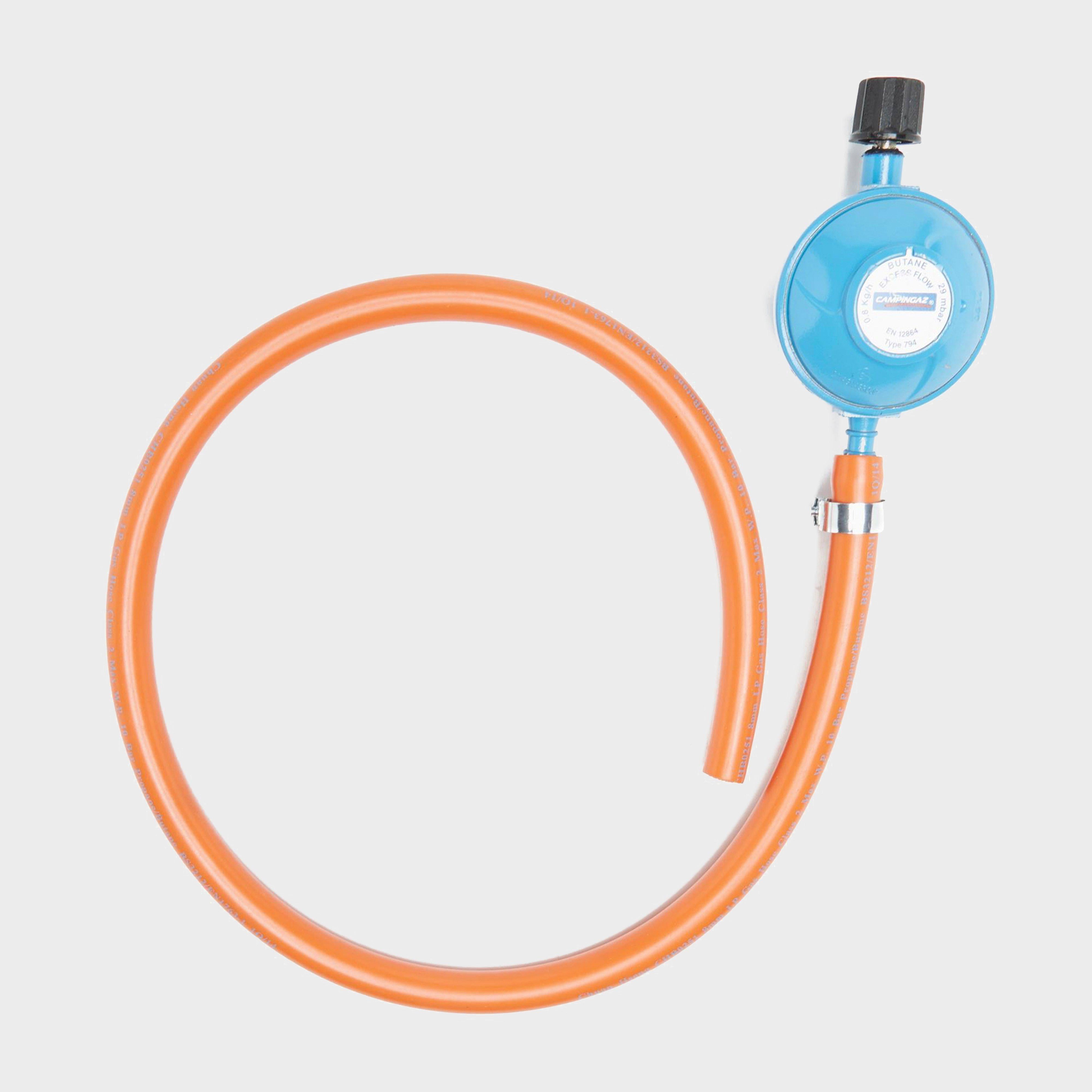 Gas Hose and Regulator Kit