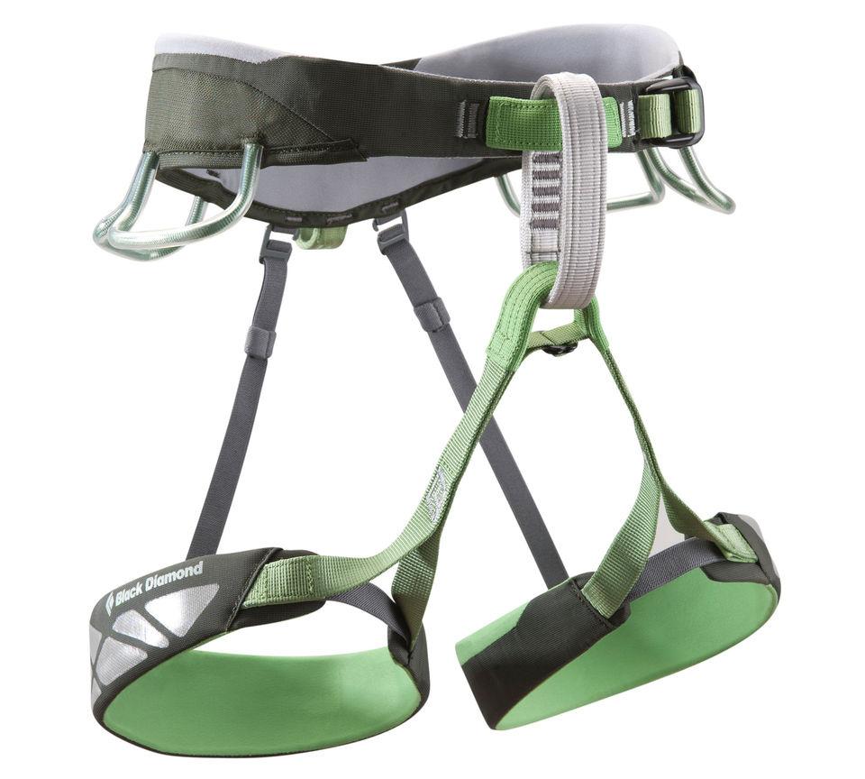 Focus Harness