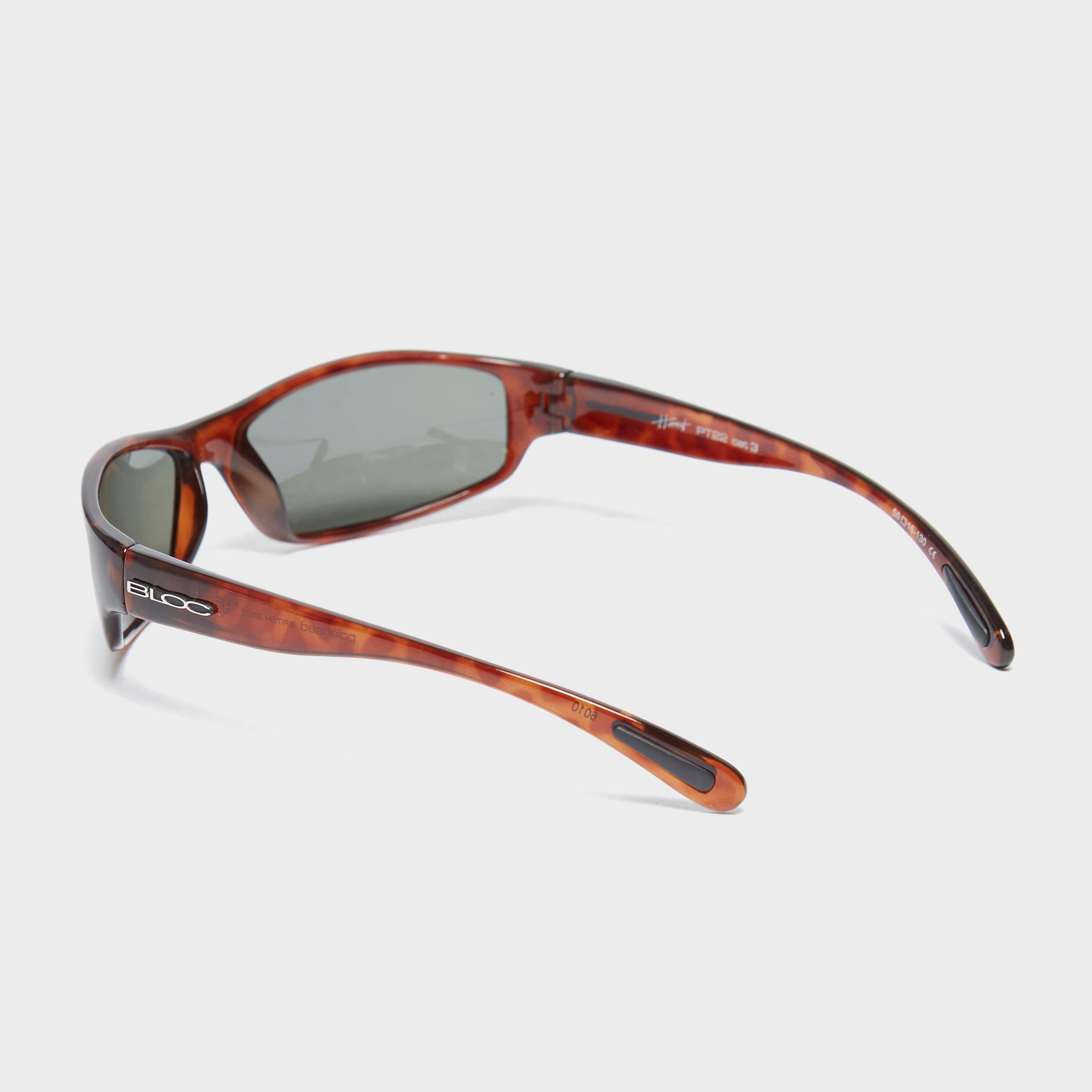Hornet PT22 Sunglasses