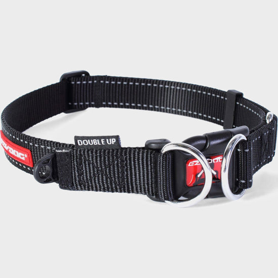 Double Up Dog Collar (XL)