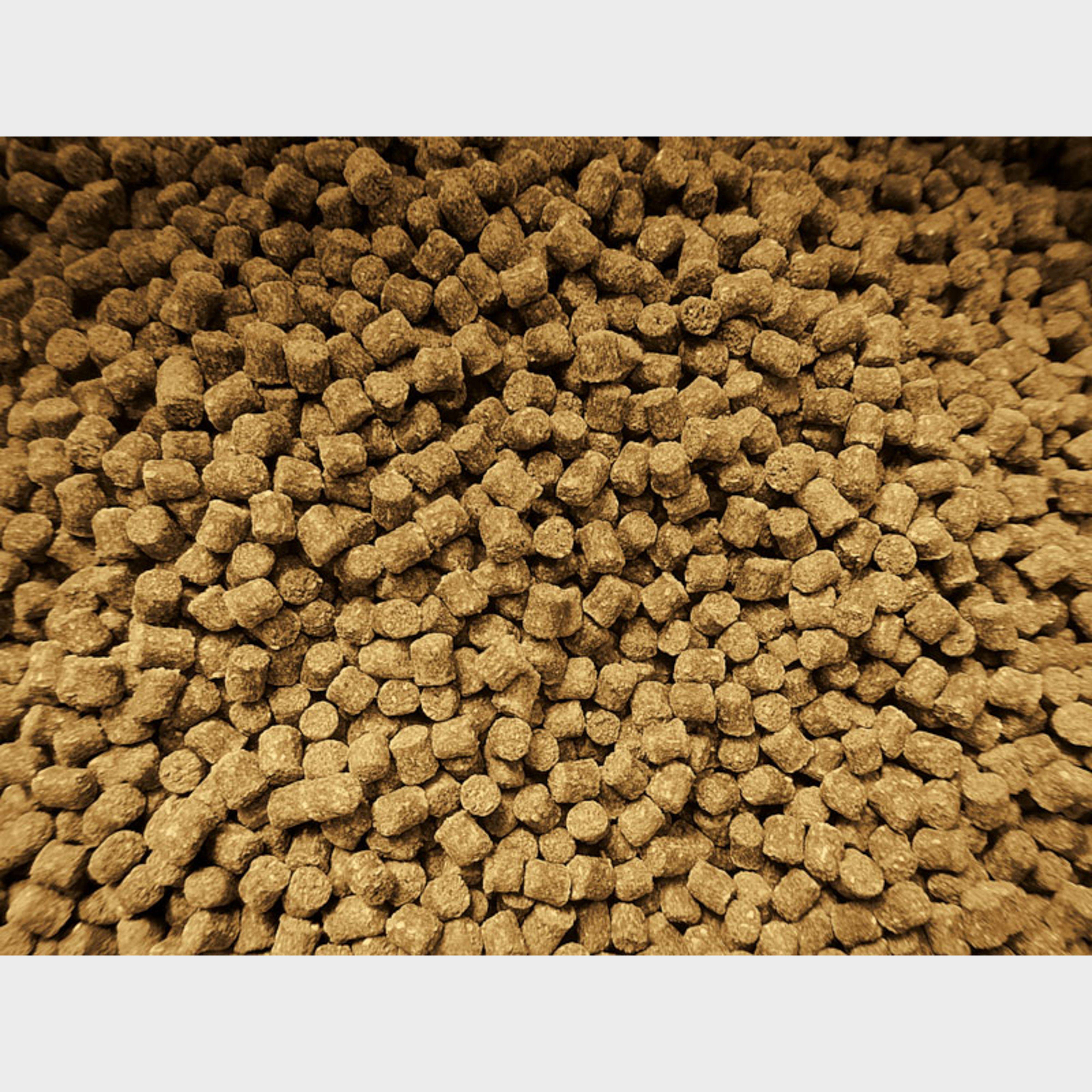 8mm Feed Pellet