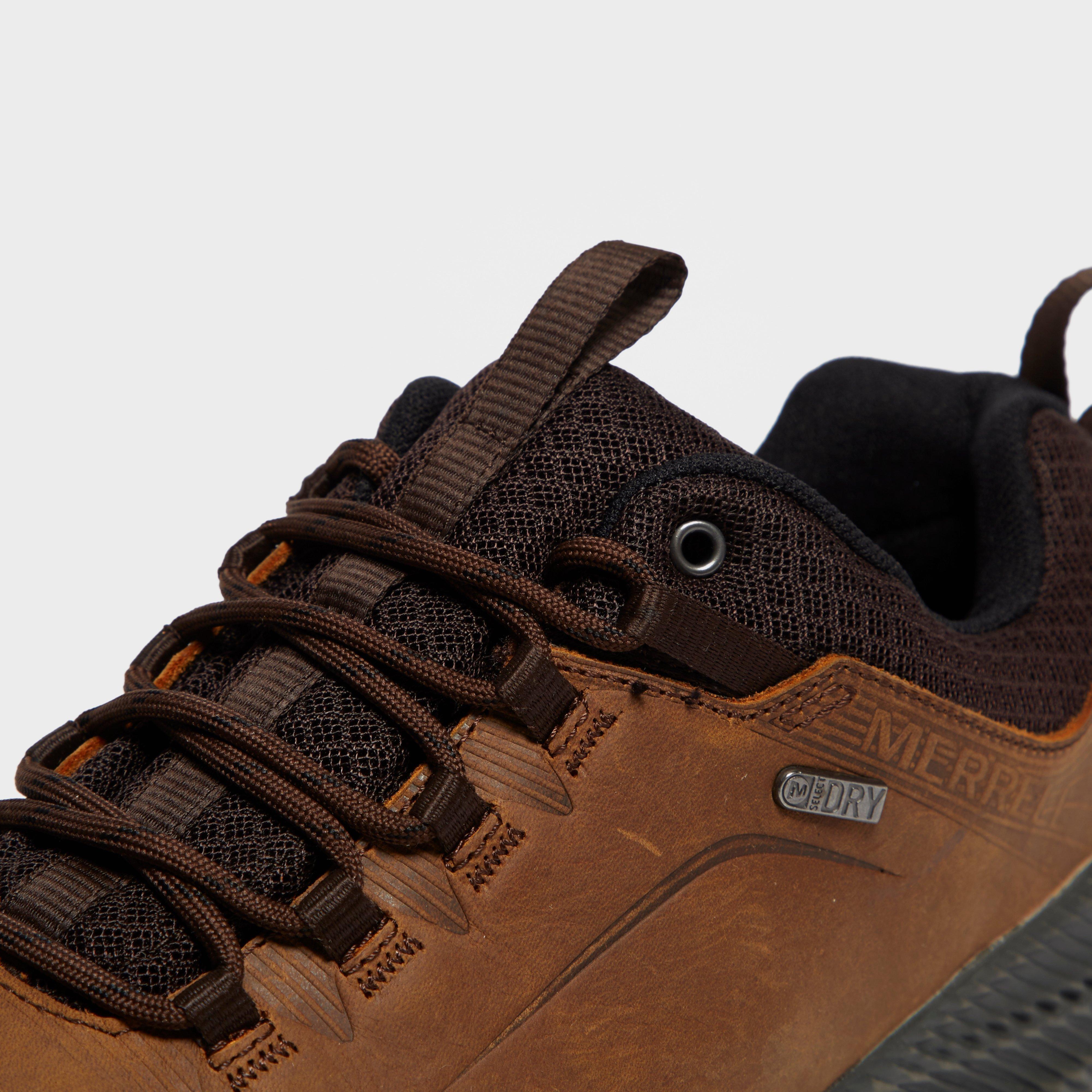 Men's Forestbound Shoes