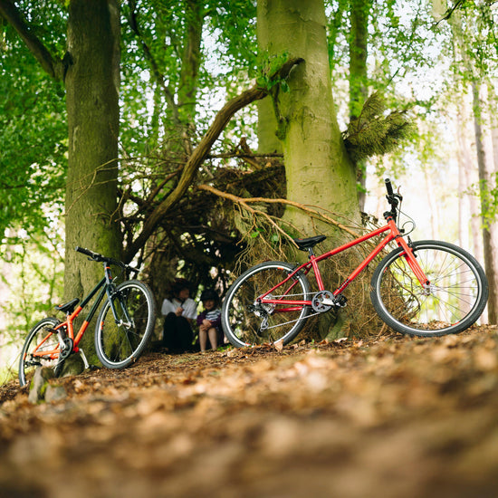 Kids’ Wild 26 Bike