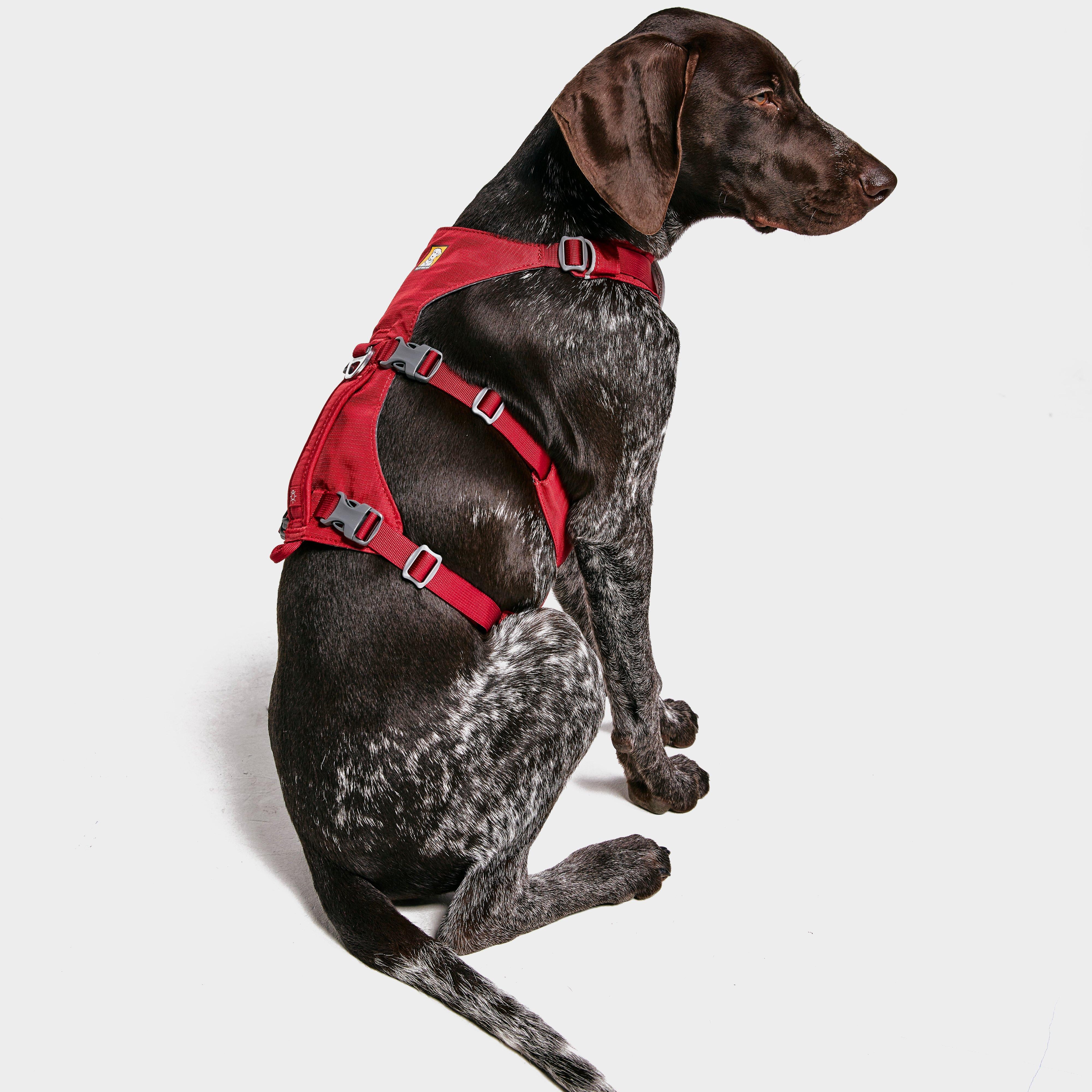 Flagline Dog Harness