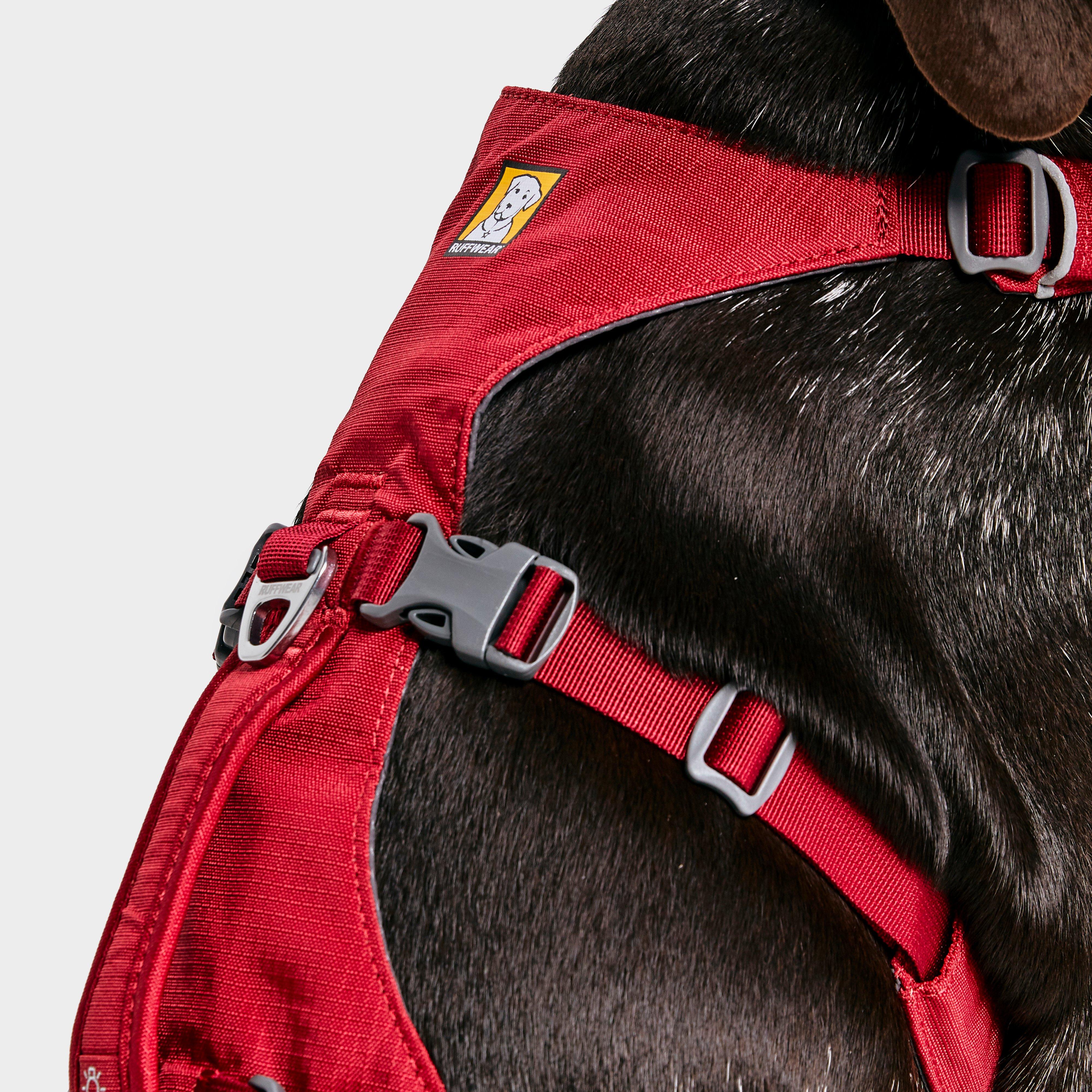 Flagline Dog Harness