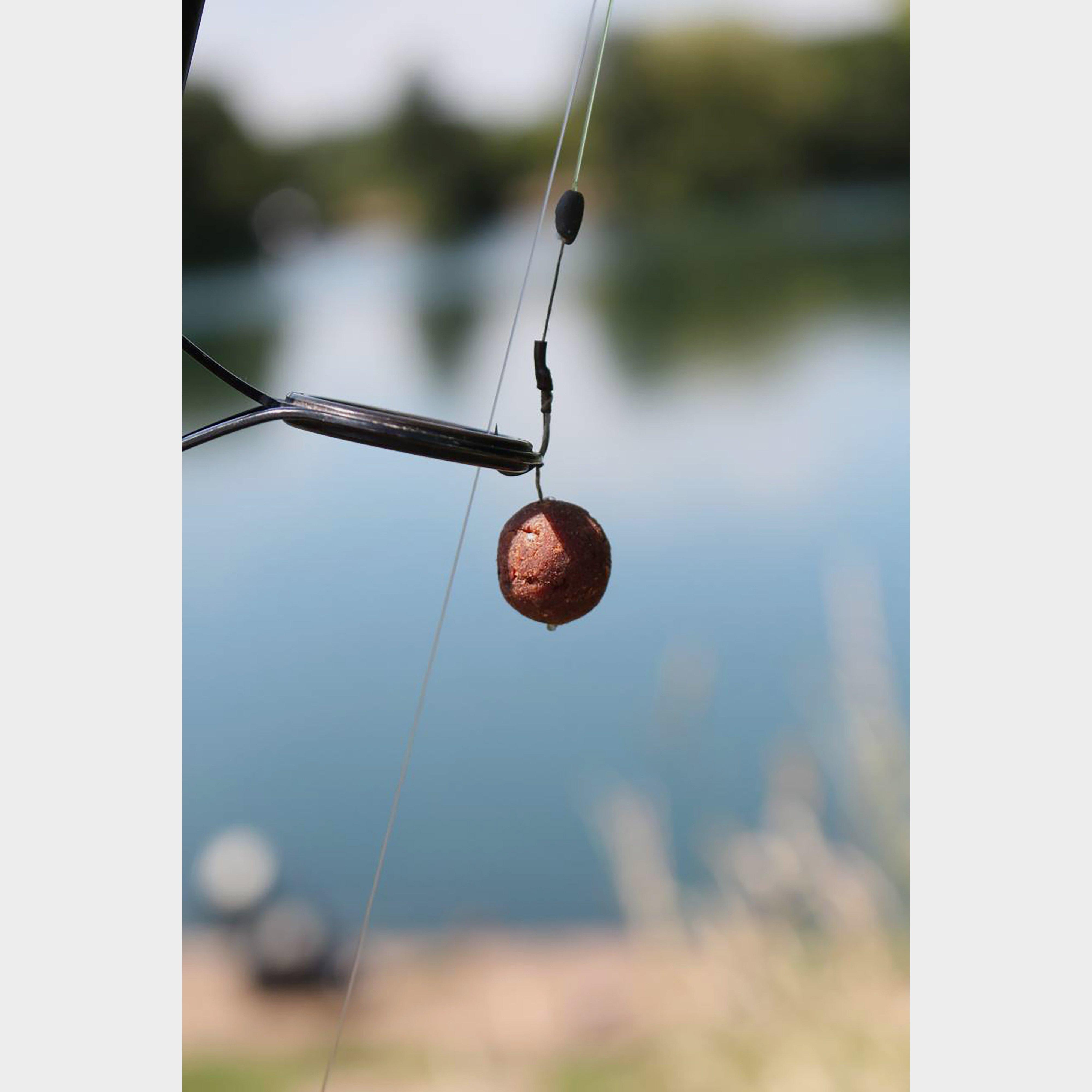 Spicy Shrimp & Prawn Boilies 15mm 1.8kg