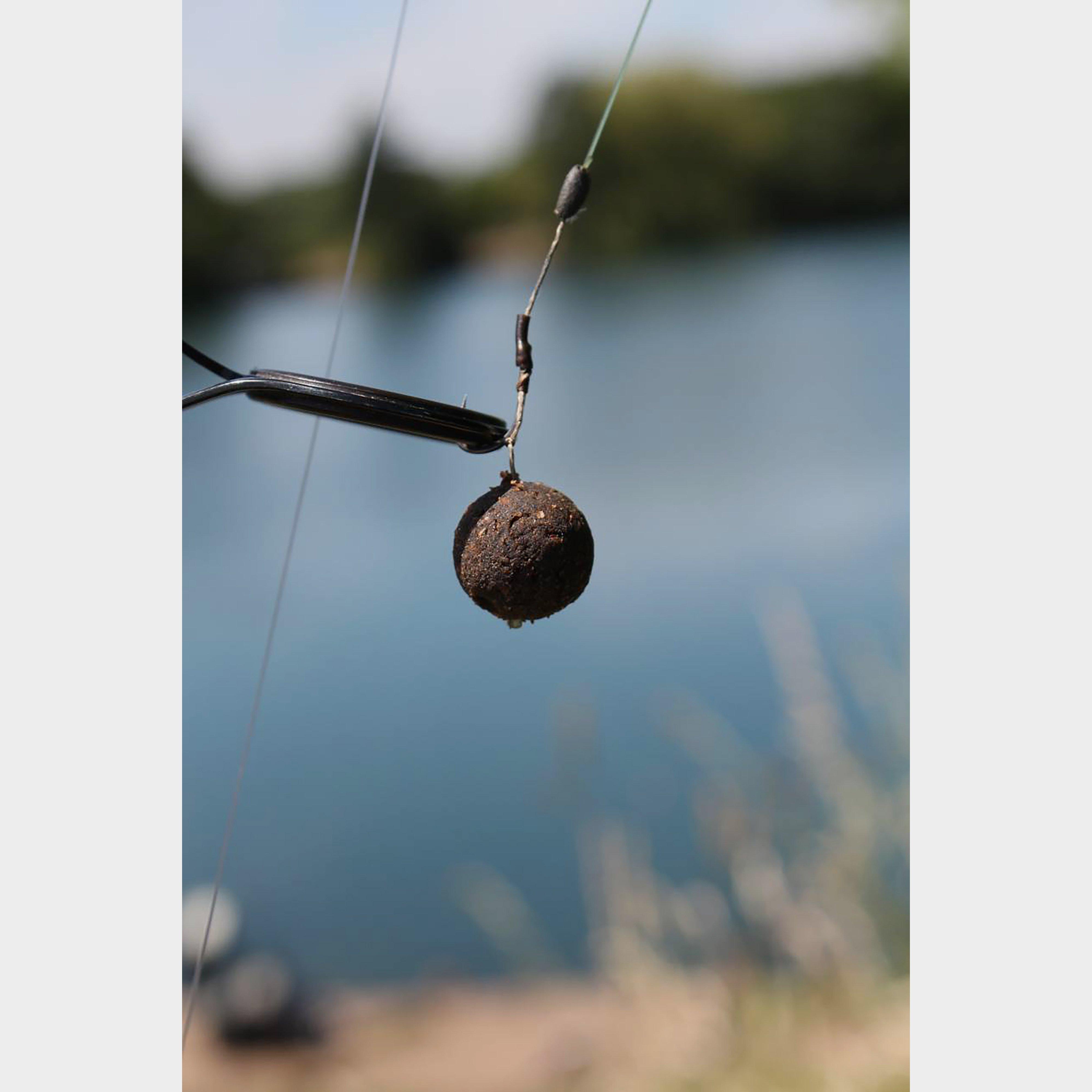 Squid and Octopus Shelf Boilie (15mm)