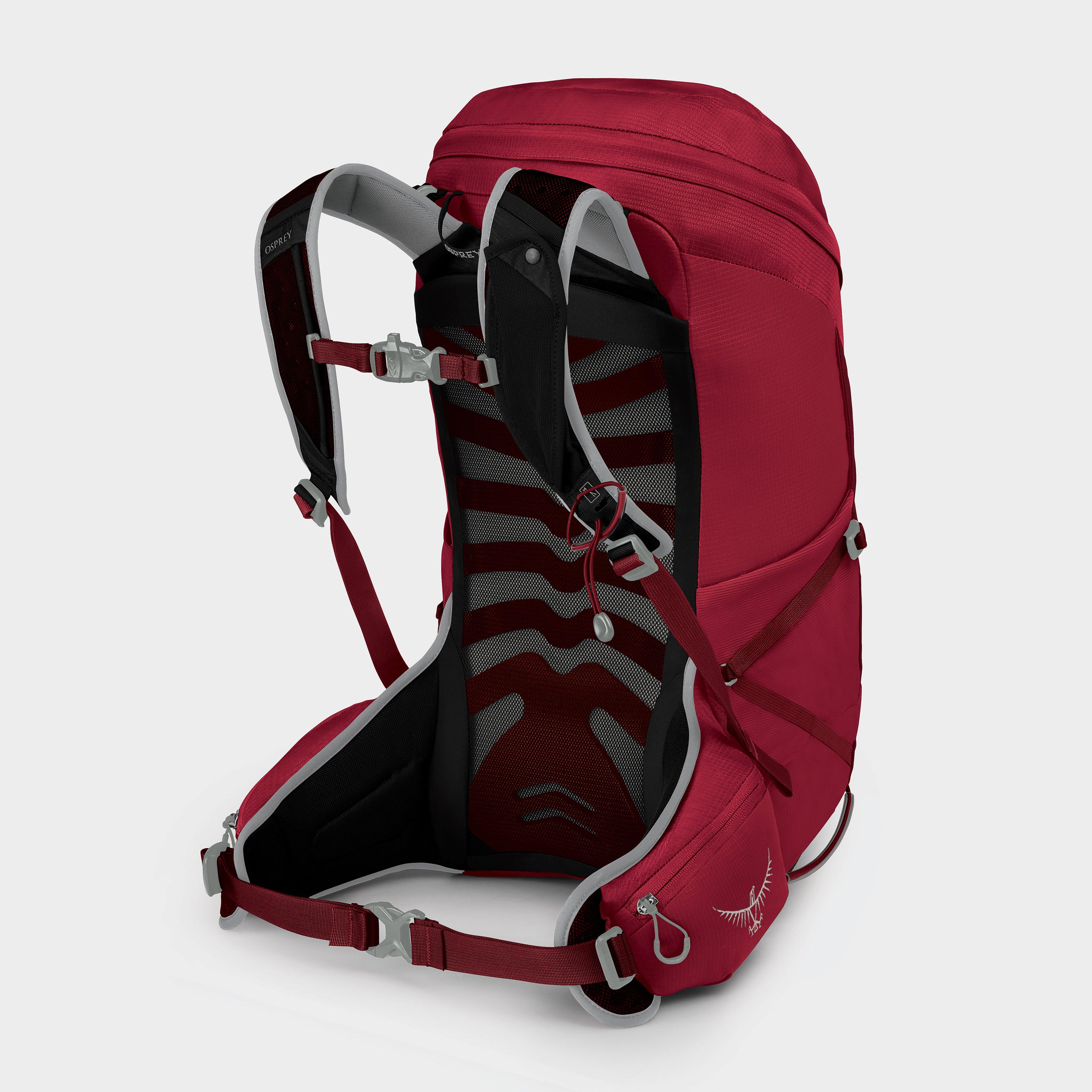 Talon 26 Daypack