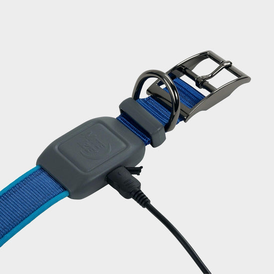 Nitedog® LED Rechargeable Collar Blue Large