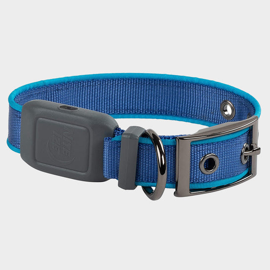 Nitedog LED Rechargeable Collar Blu