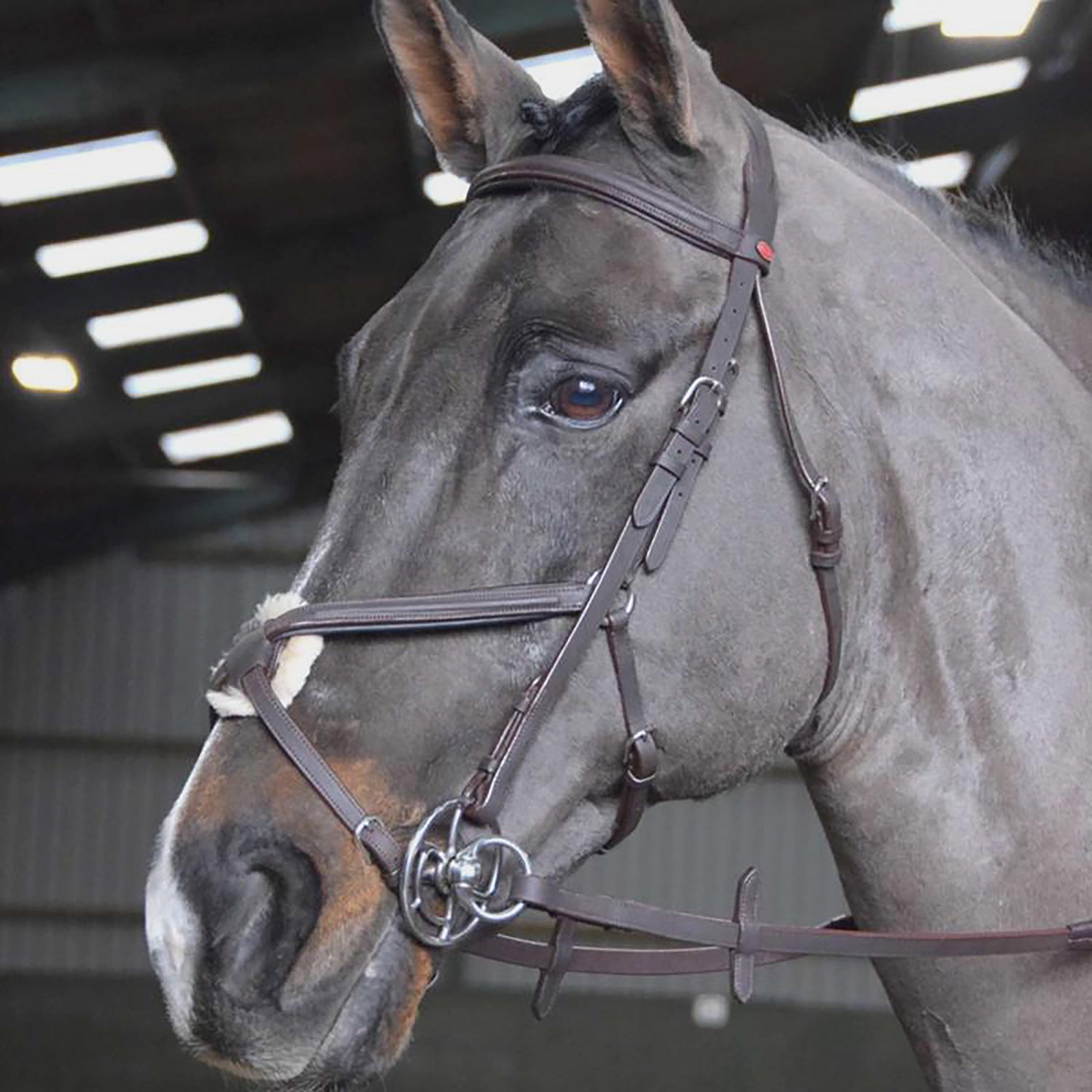 Ready-To-Ride Mexican Bridle