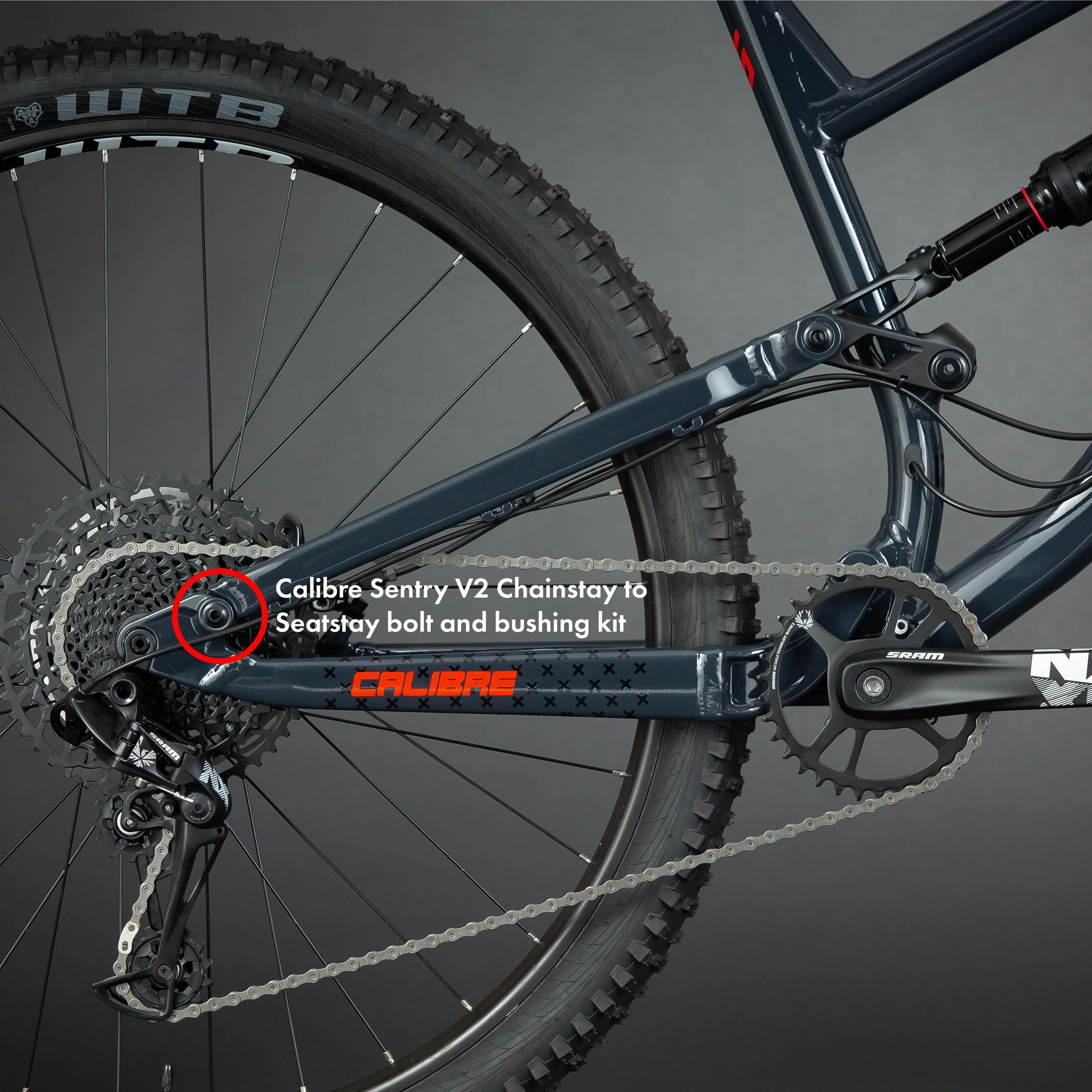 Sentry V2 Chainstay to Seatstay Bolt and Bushing Kit