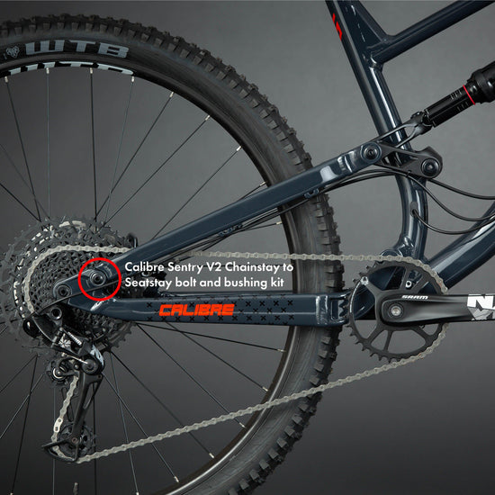 Sentry V2 Chainstay to Seatstay Bolt and Bushing Kit