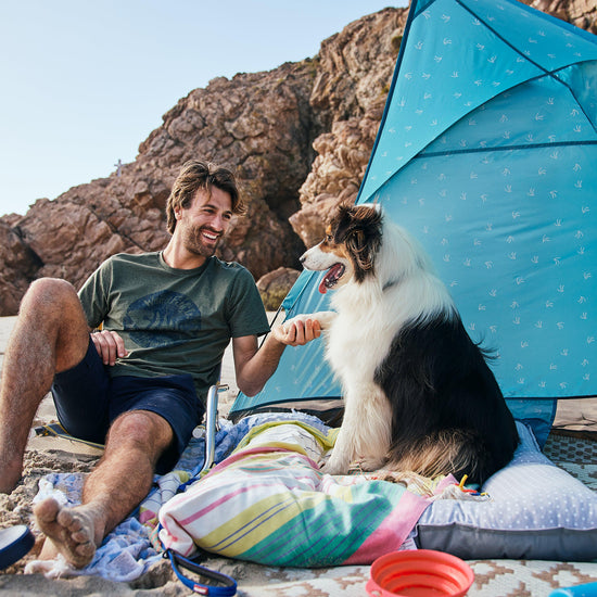 Wave Lite Beach Shelter