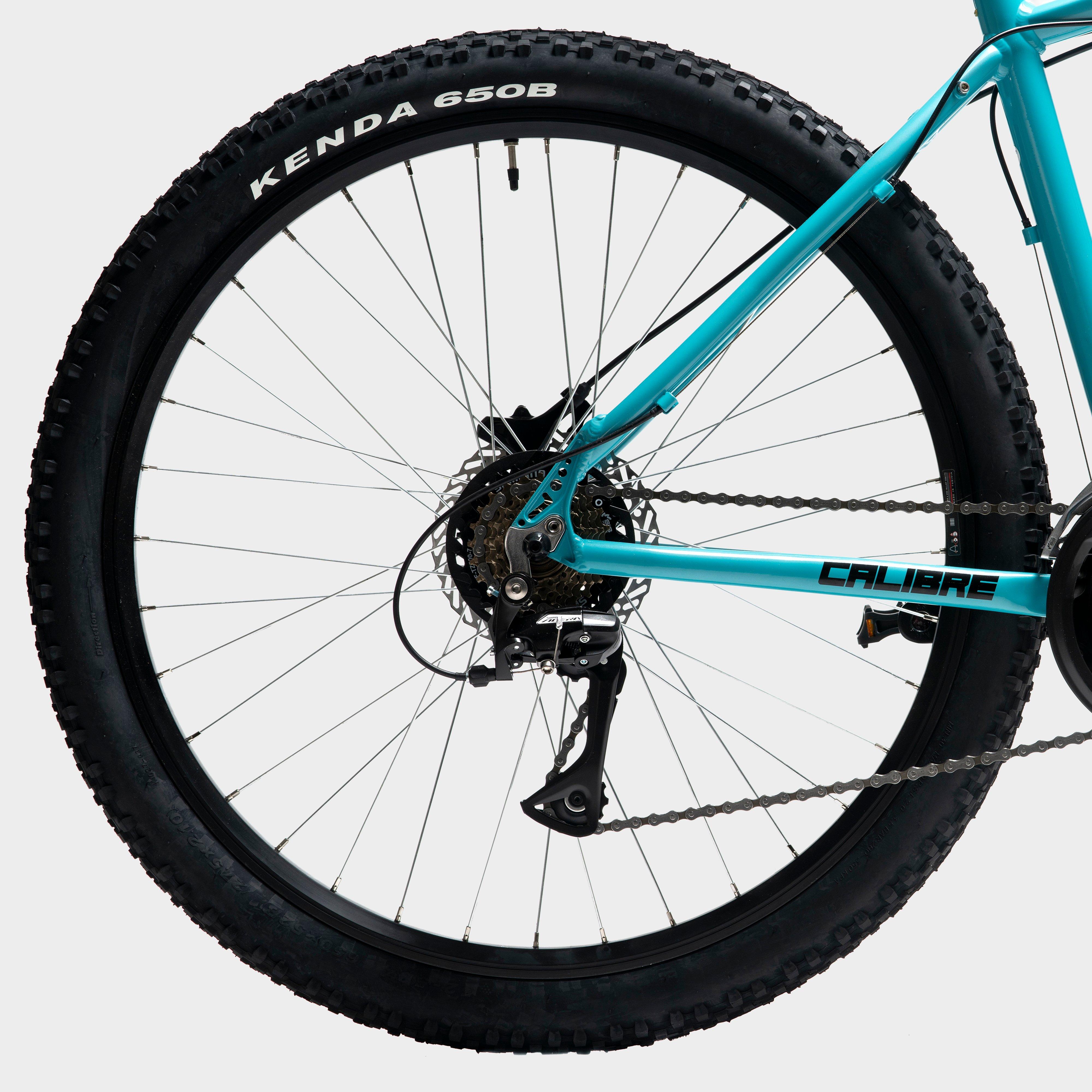 Saw Mountain Bike