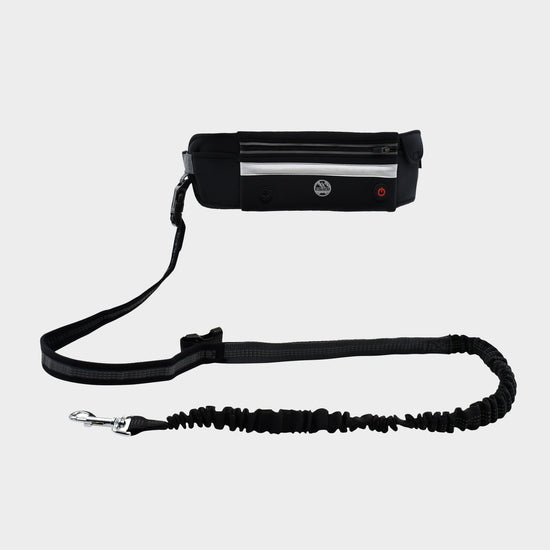 LED Dog Lead Run Belt