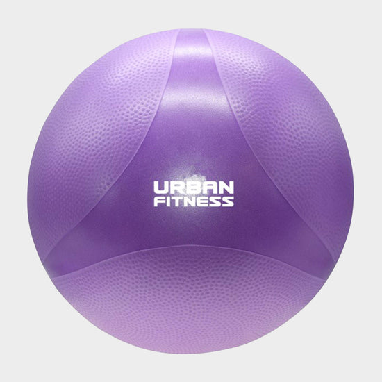 Swiss Gym Ball 55cm