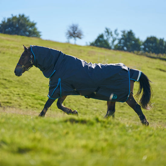 Original 200g Light-Medium Combo Neck Turnout Rug