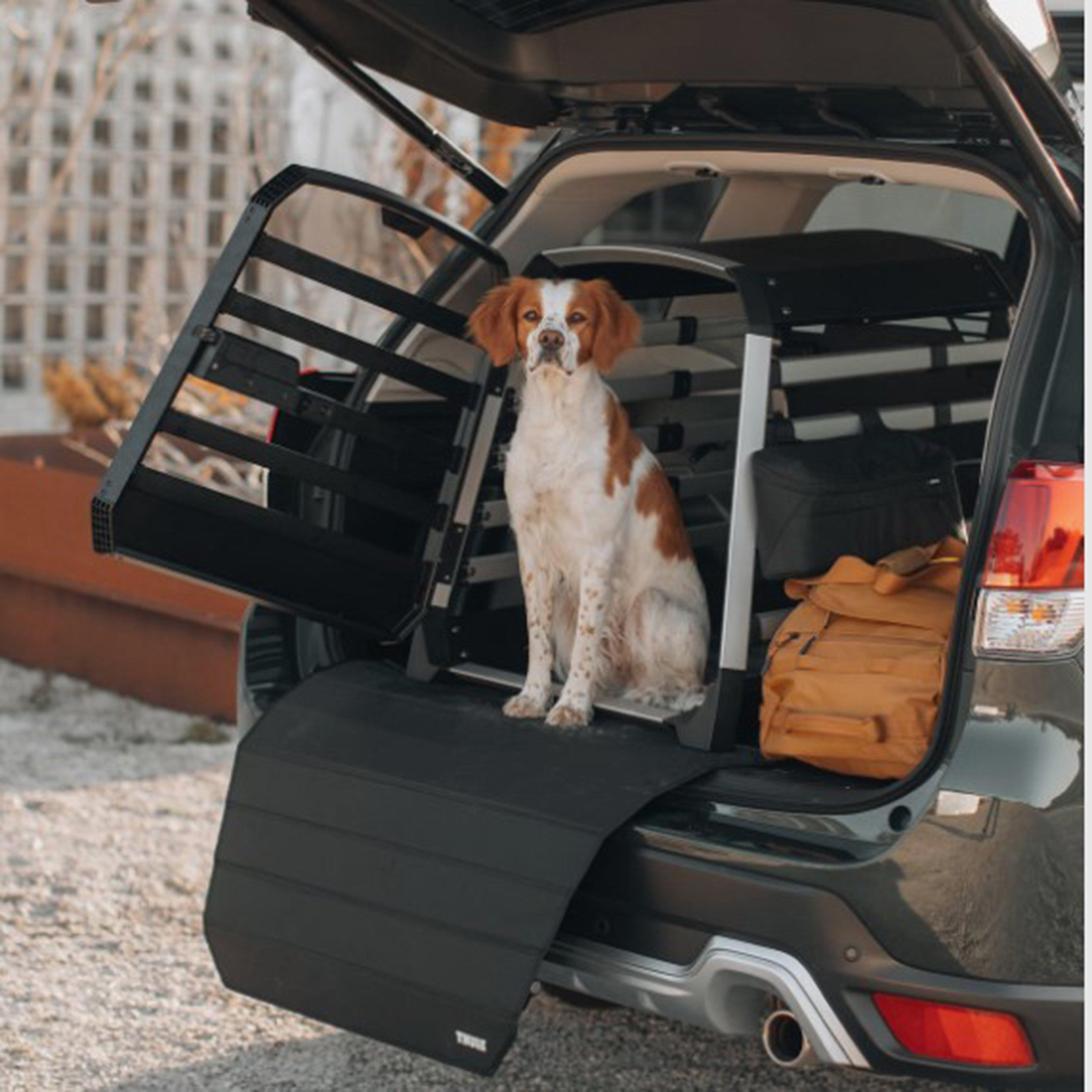 Allax XL Compact Dog Crate