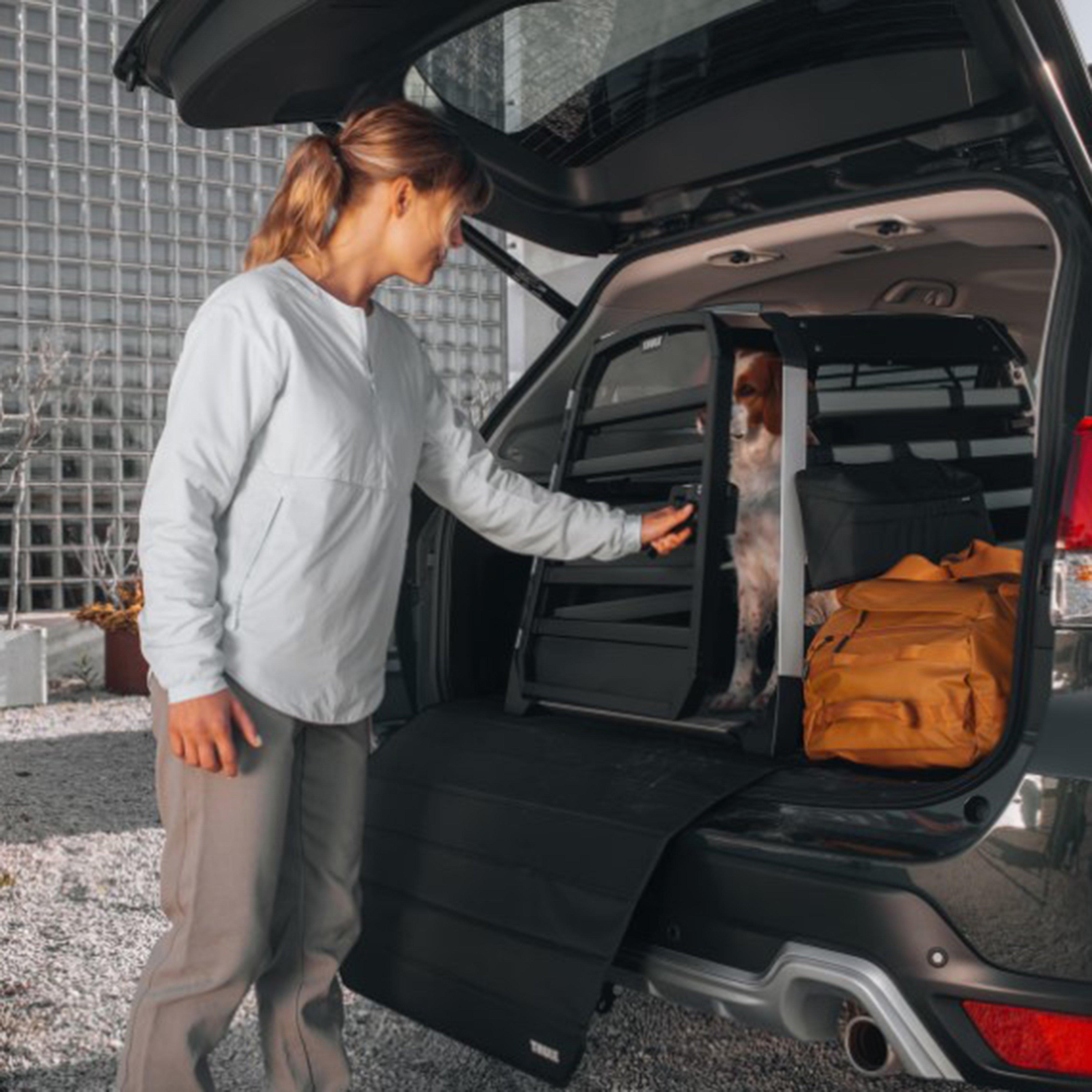 Allax XL Compact Dog Crate