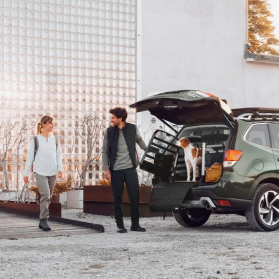 Allax Bumper Protector Standard