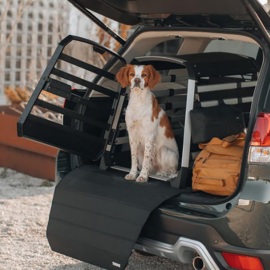 Dog Crate Storage Bag
