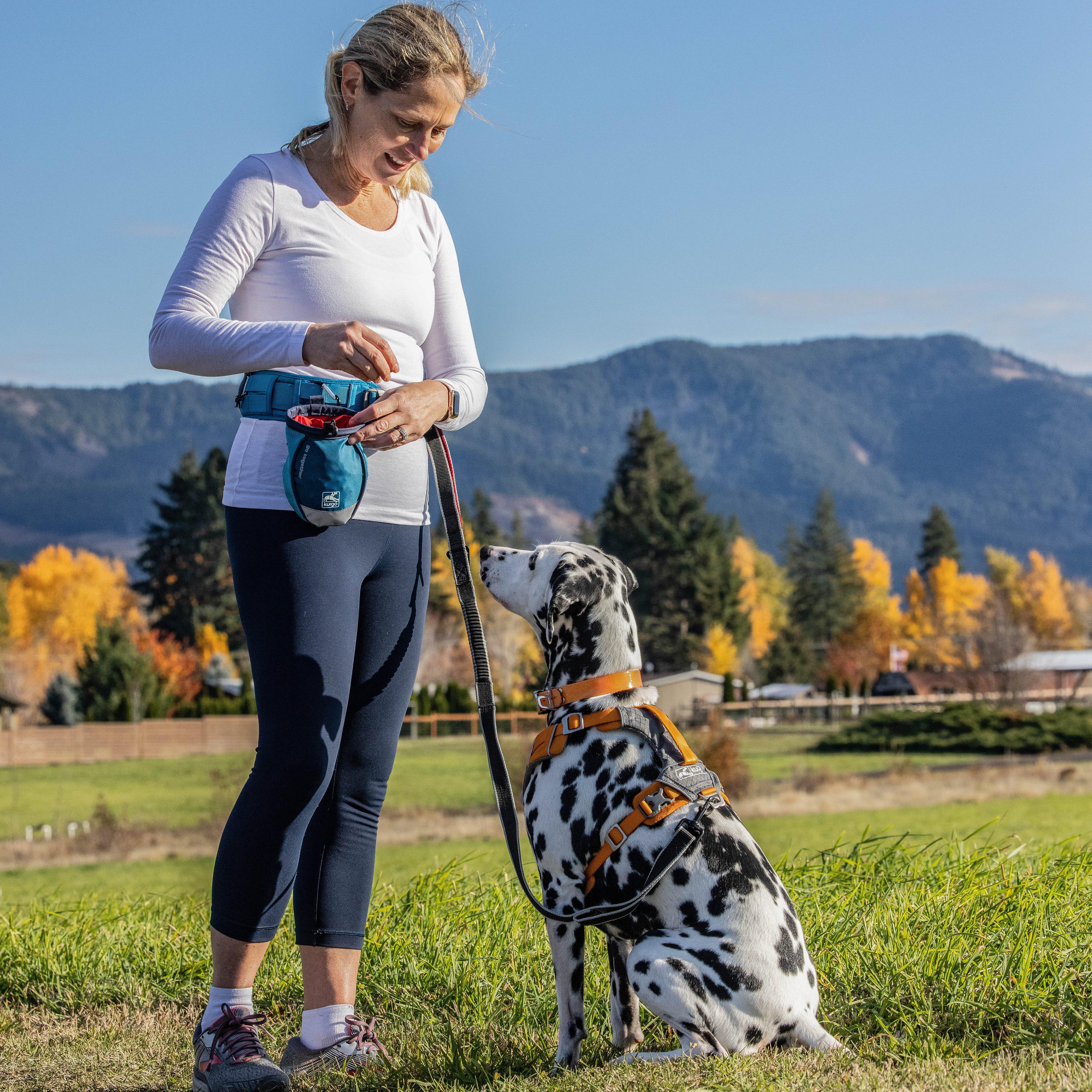 Go Stuff It Dog Treat Bag