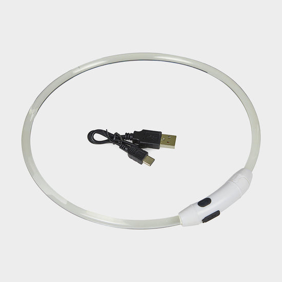 Outdoor Paws USB Rechargeable LED Ring Dog Collar