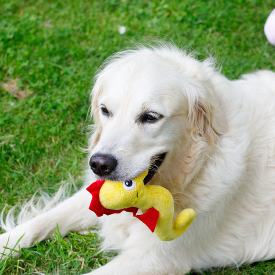 Planet Sid Seahorse Plush Dog Toy