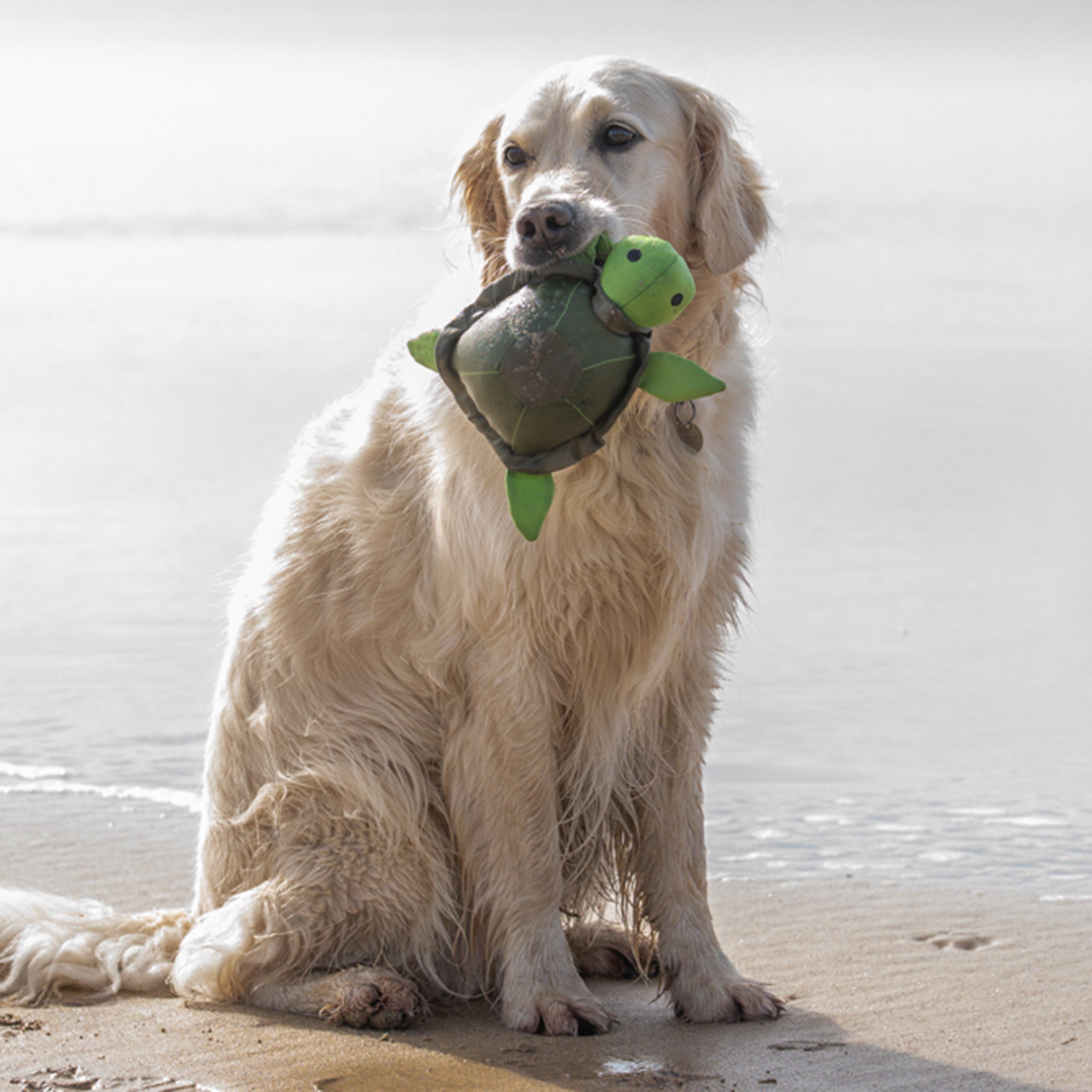 Planet Tessi Turtle Plush Dog Toy