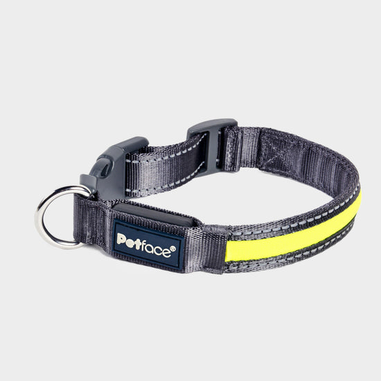 Reflective Flashing Dog Collar Large