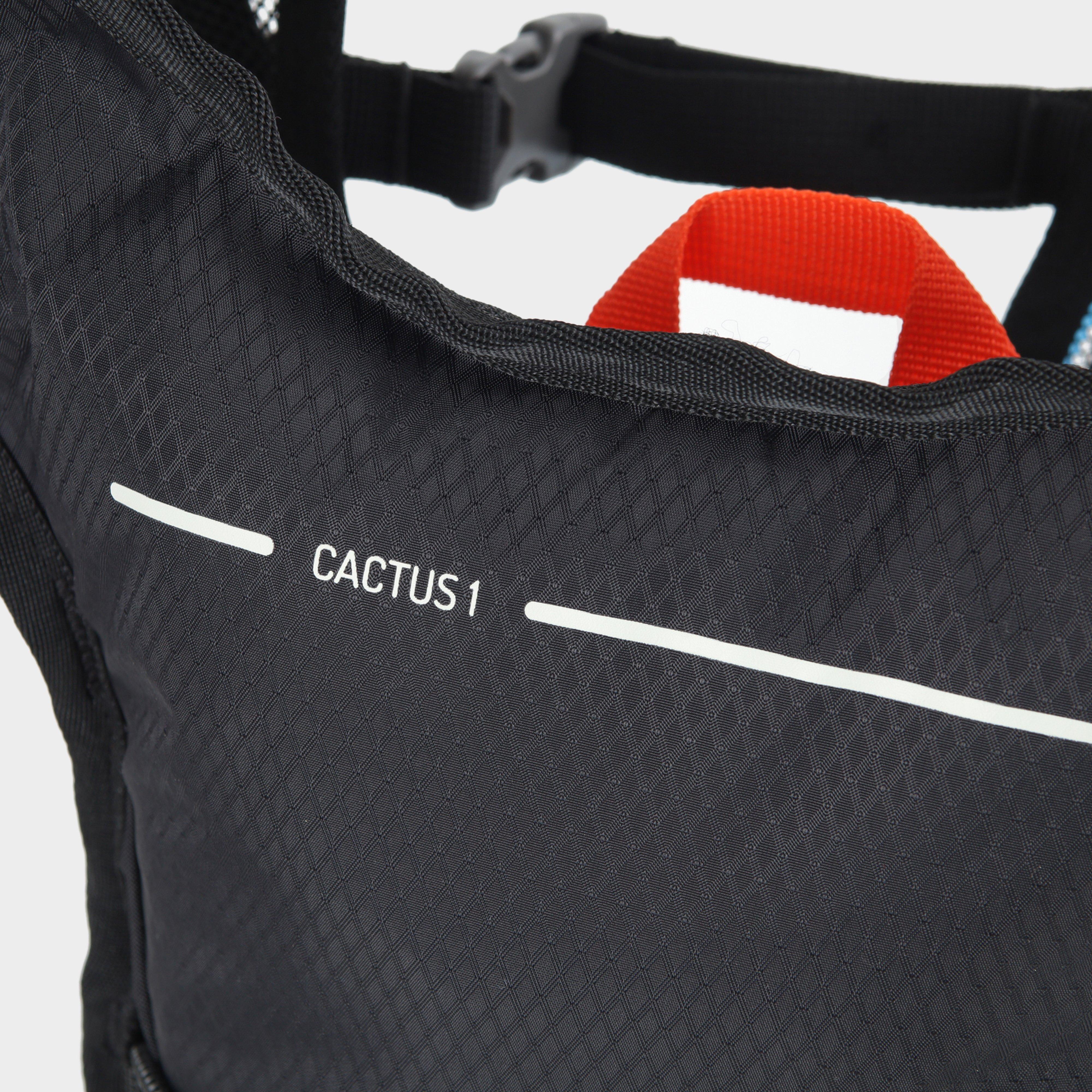 Cactus 1L Hydration Pack
