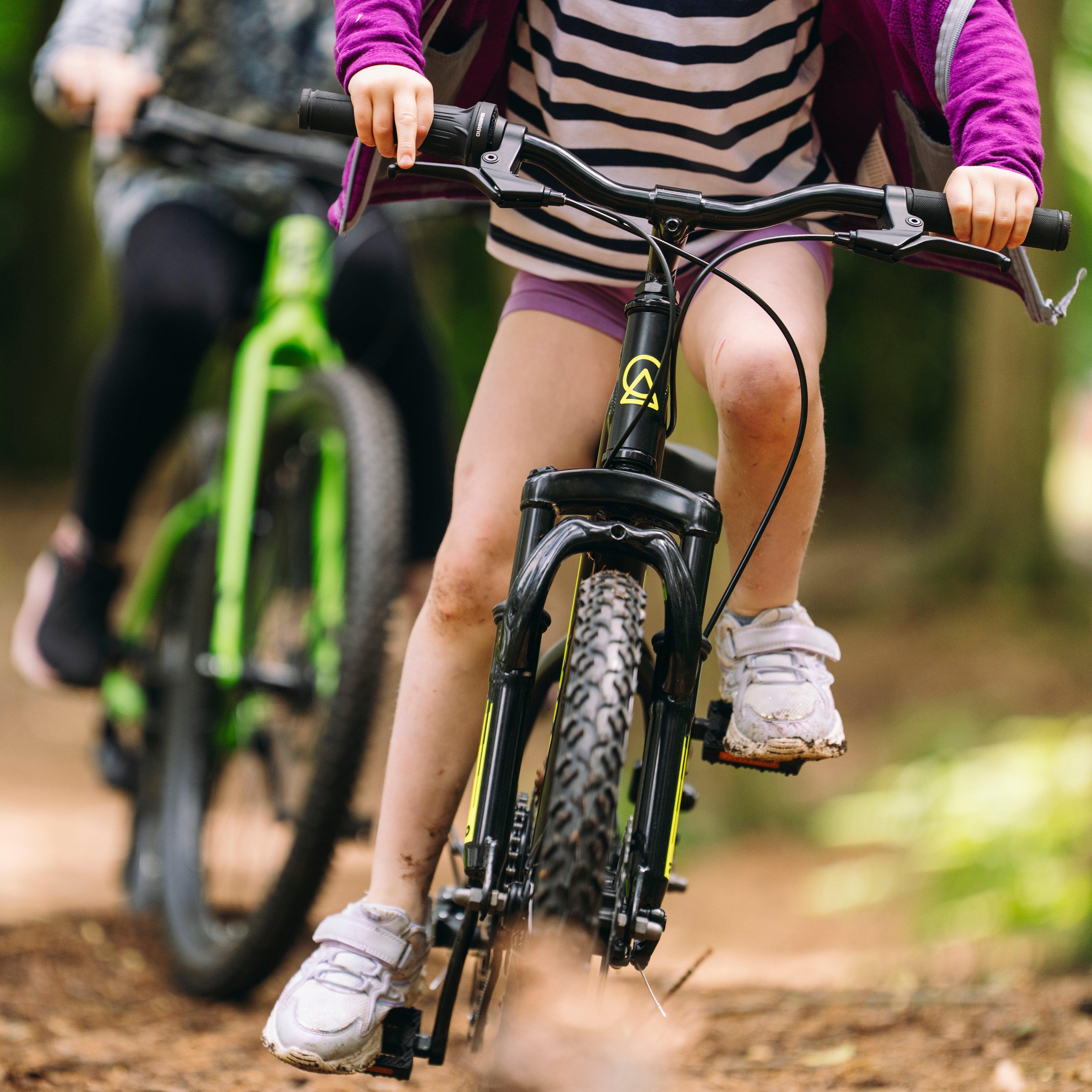 Free Rein Bike 20"