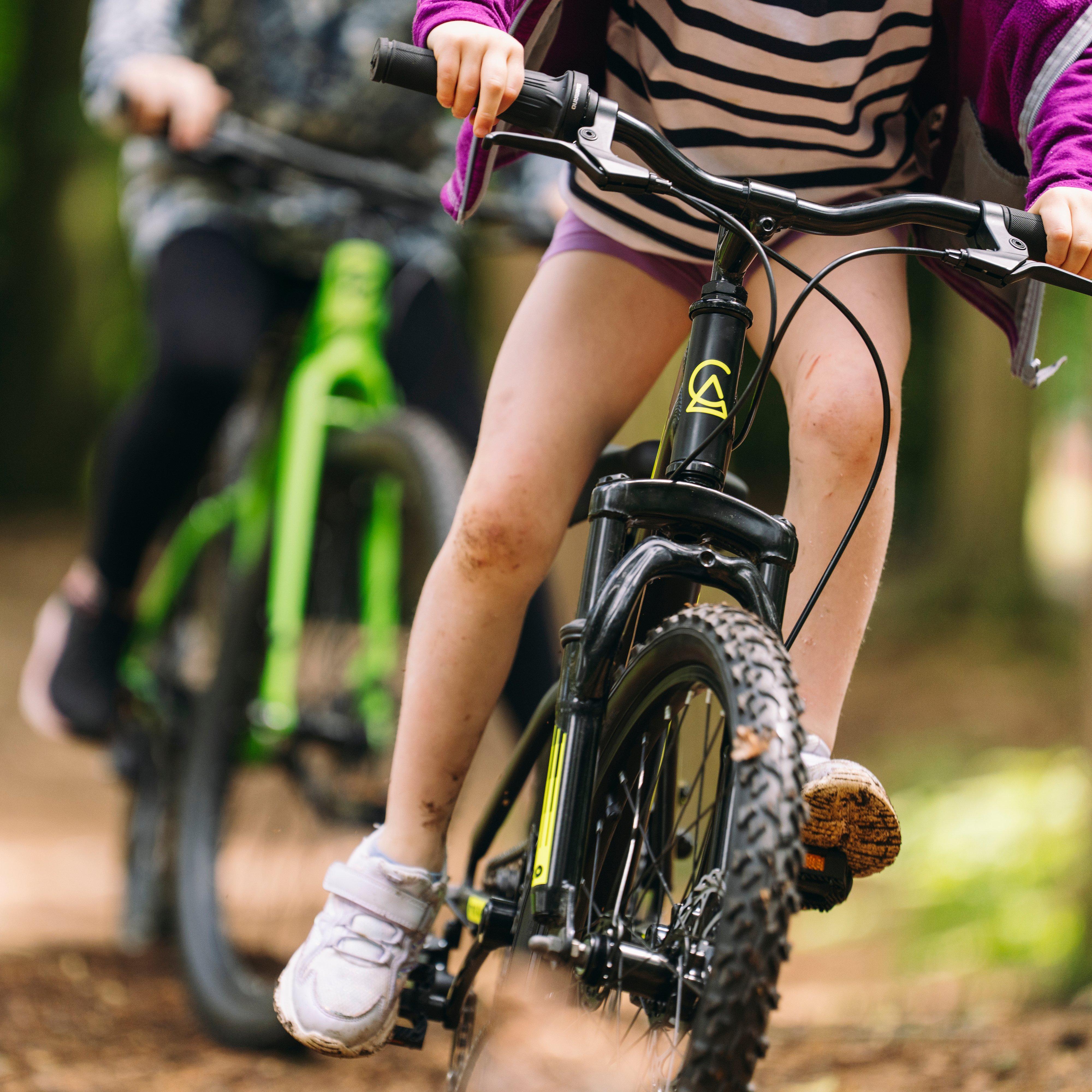 Free Rein Bike 20"