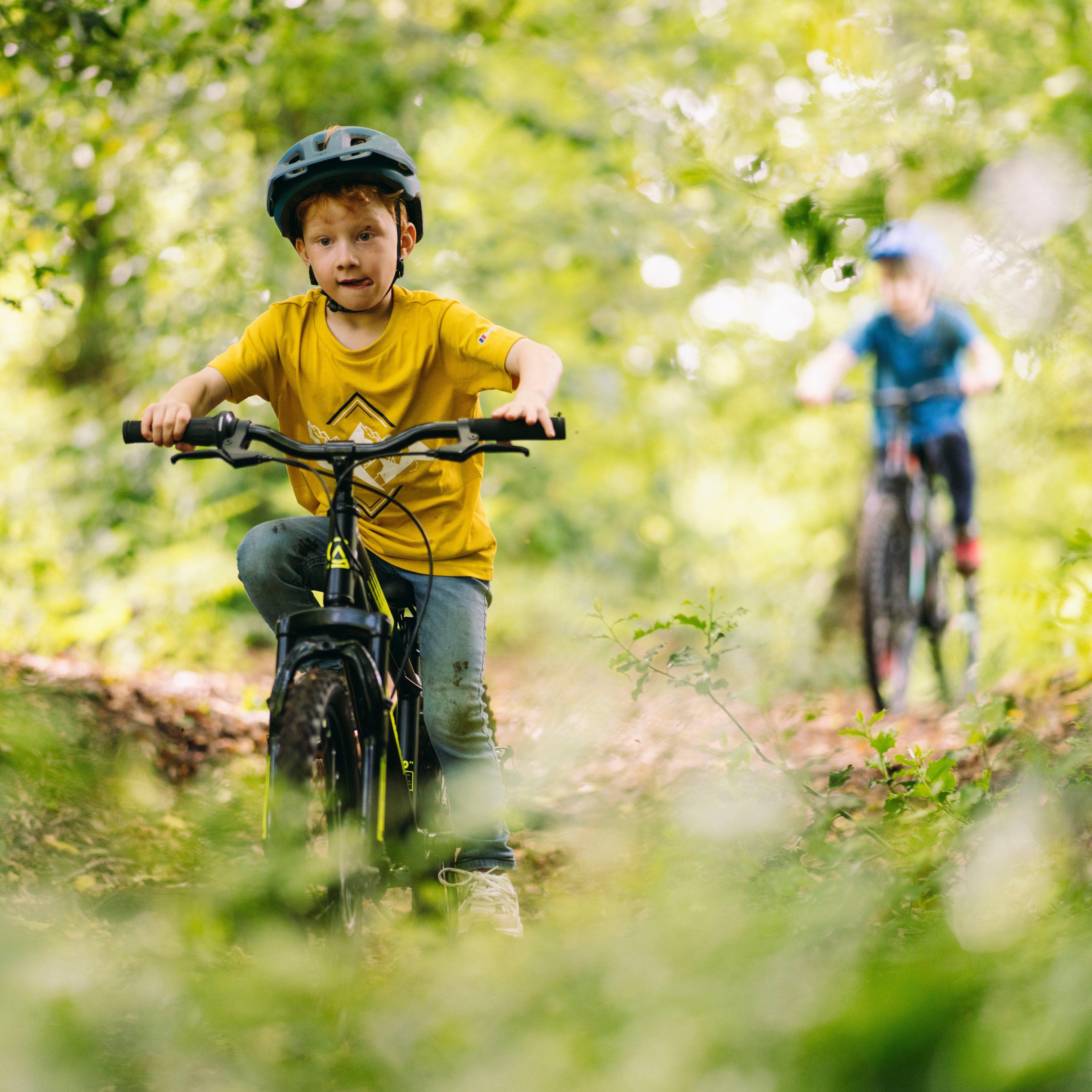 Free Rein Bike 20"
