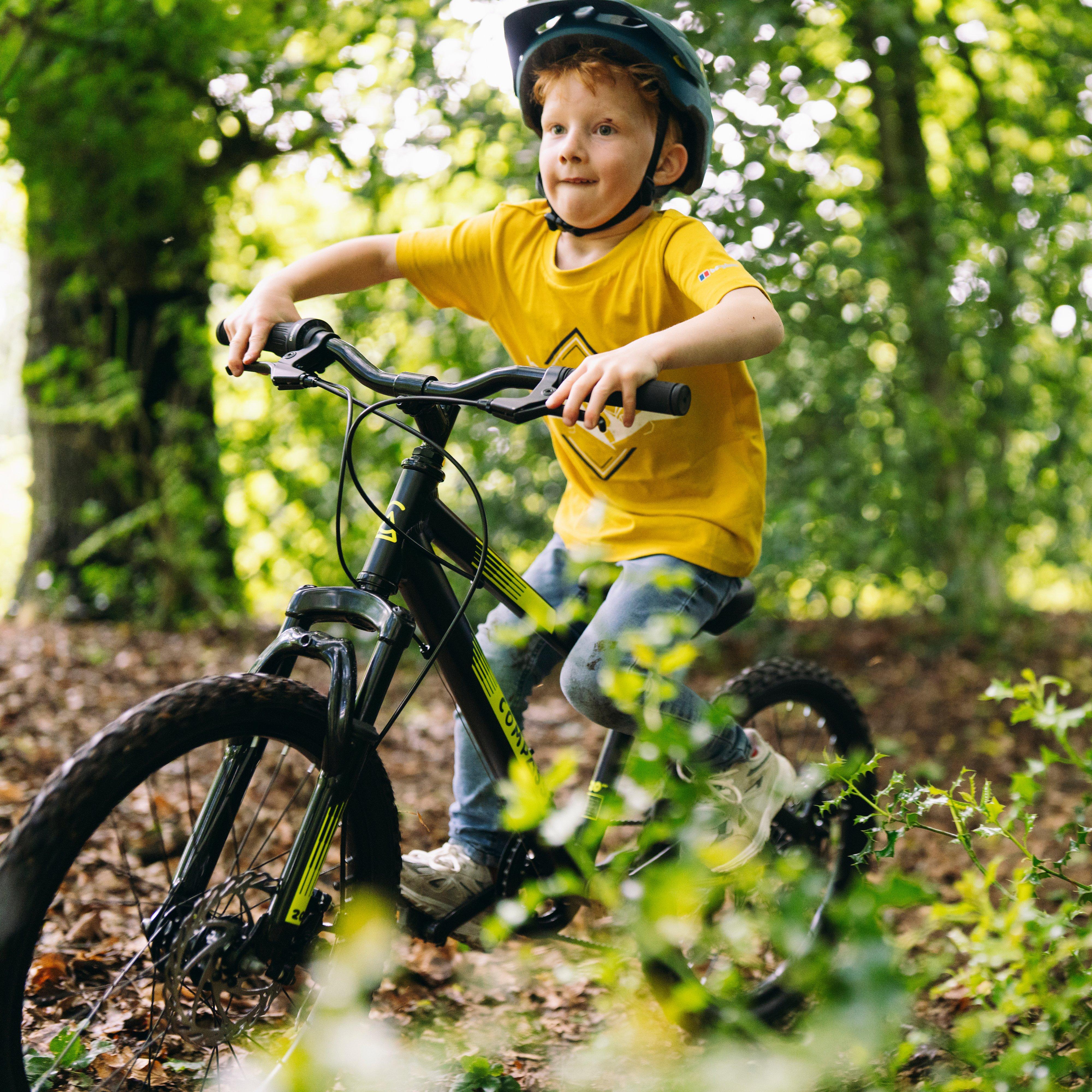 Free Rein Bike 20"