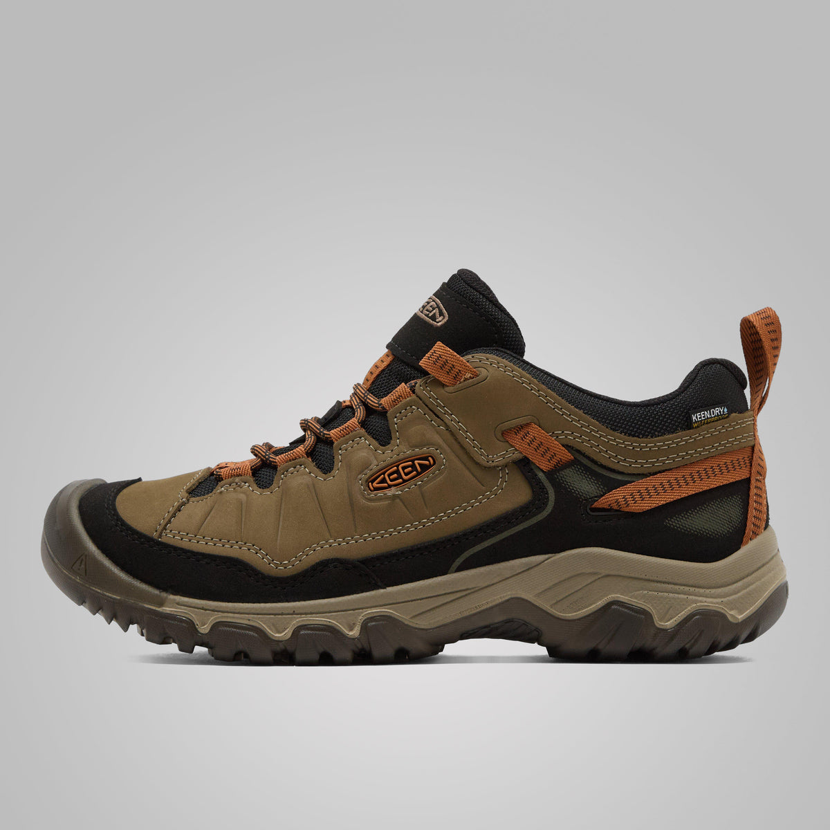 Men's Targhee IV Waterproof Shoe