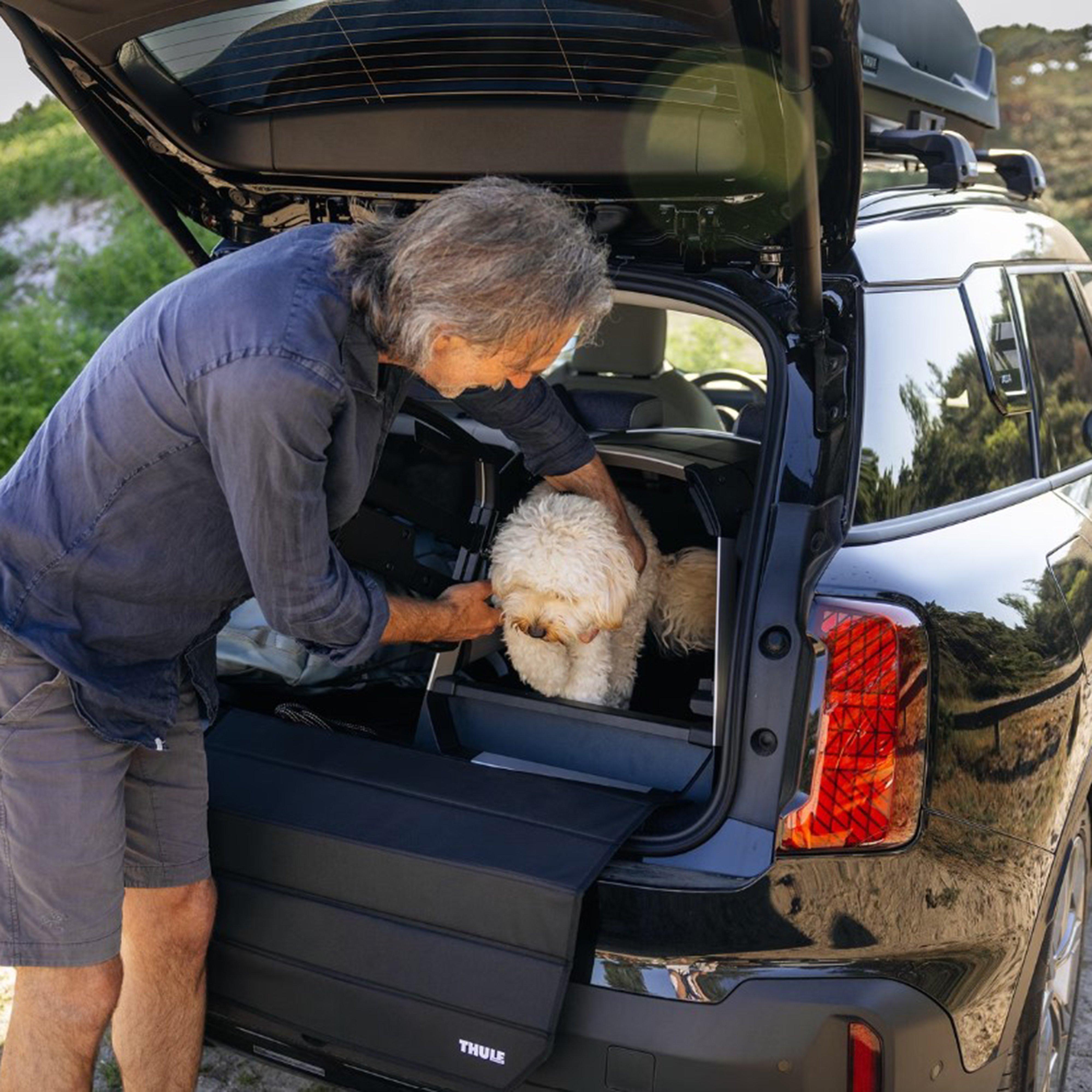 Allax Threshold Compatible Dog Car Crate M