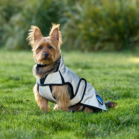 ComFiTec Classic Waterproof Dog Coat