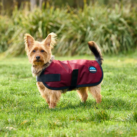 ComFiTec Classic Waterproof Dog Coat