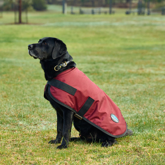 ComFiTec Classic Waterproof Dog Coat