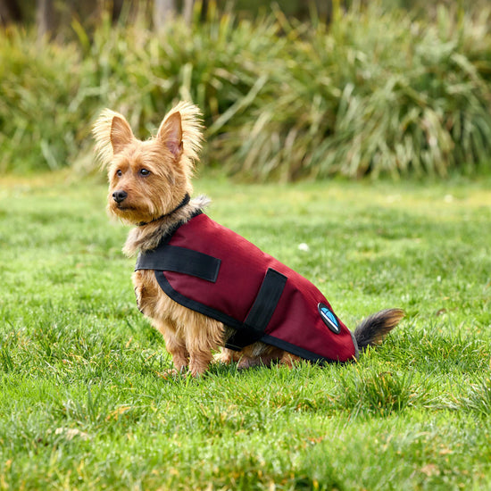 ComFiTec Classic Waterproof Dog Coat