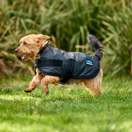 ComFiTec Classic Waterproof Dog Coat