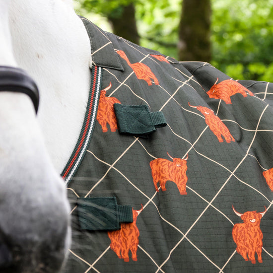 Original 100g Light-Medium Standard Neck Turnout Rug Olive