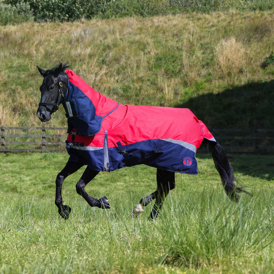 Pro 100g Turnout Rug