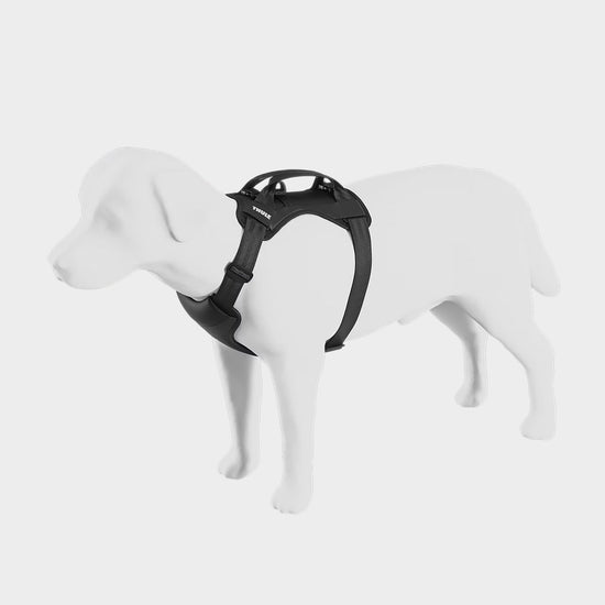 Cappy Dog Car Harness Medium