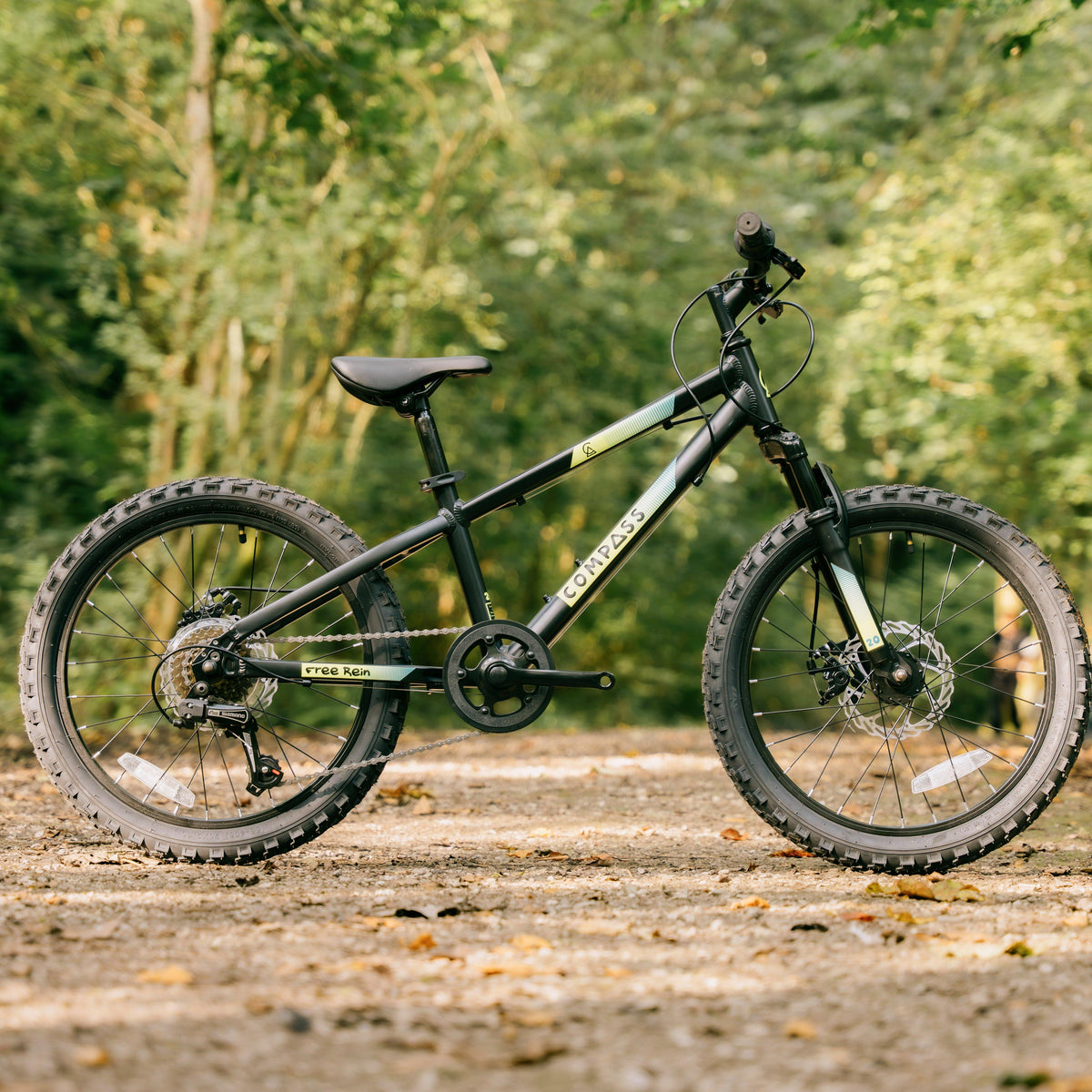 Free Rein Kids' 20" Bike