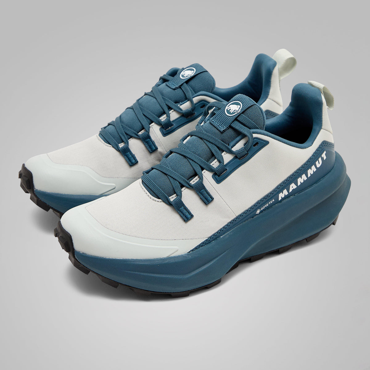 Women’s Aenergy Hike Low GTX Walking Shoes