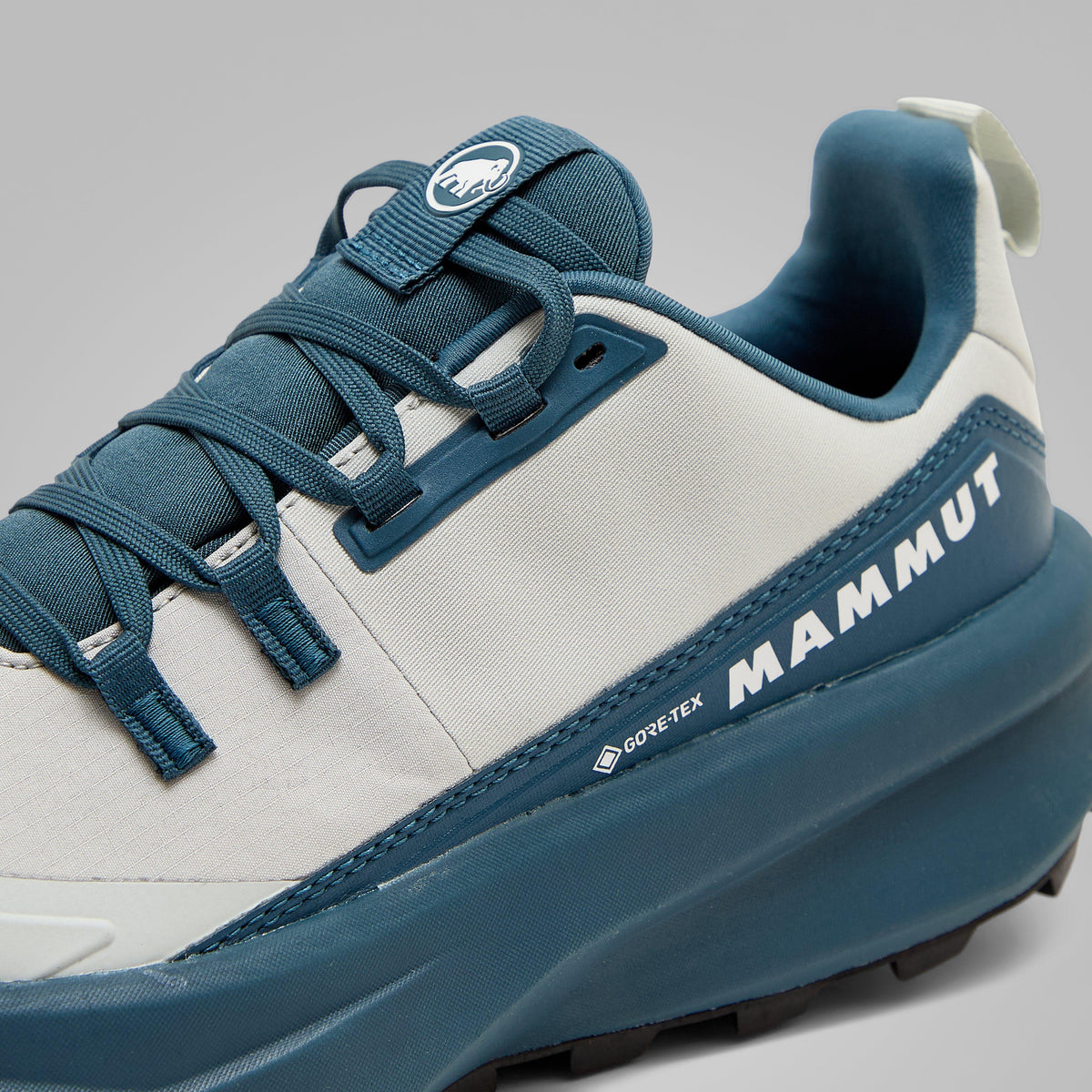 Women’s Aenergy Hike Low GTX Walking Shoes