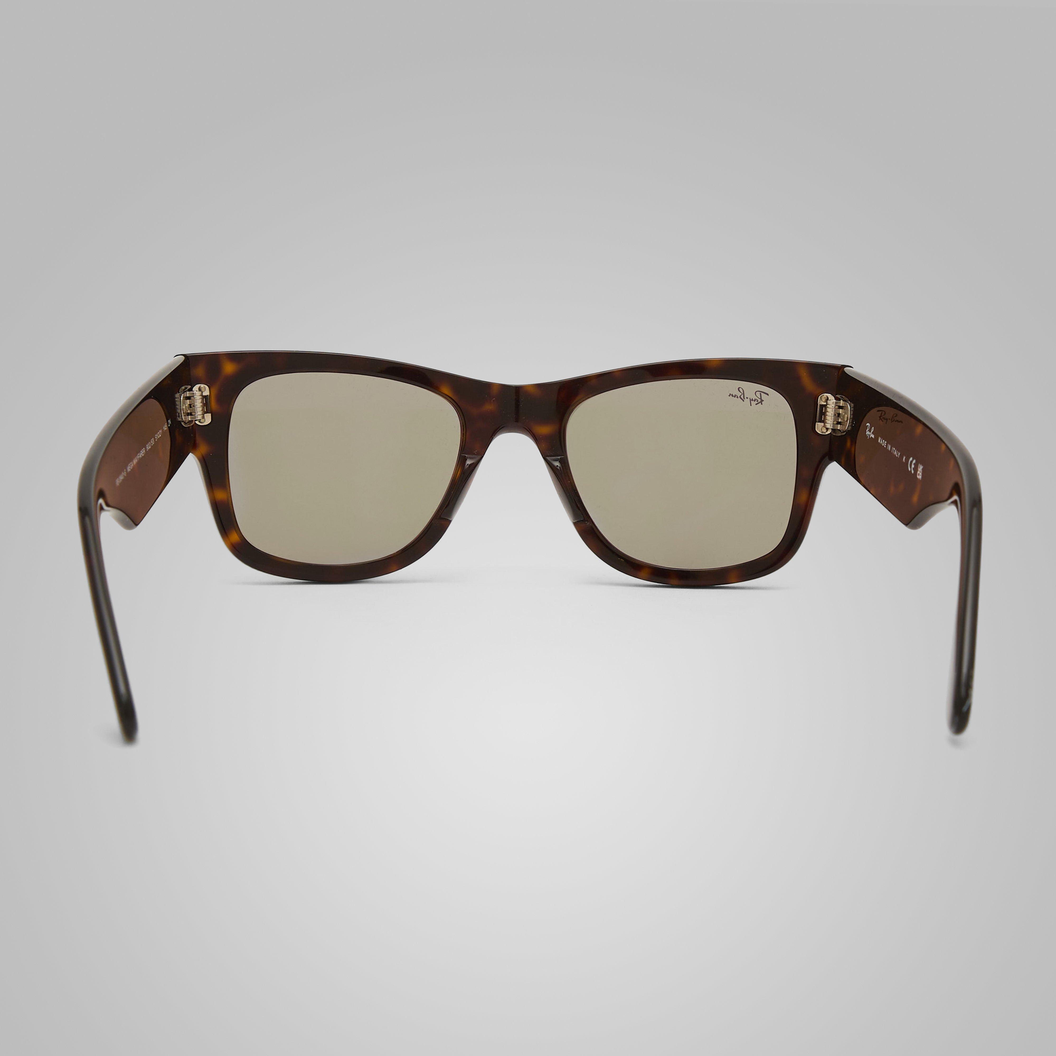 Mega Wayfarer Sunglasses